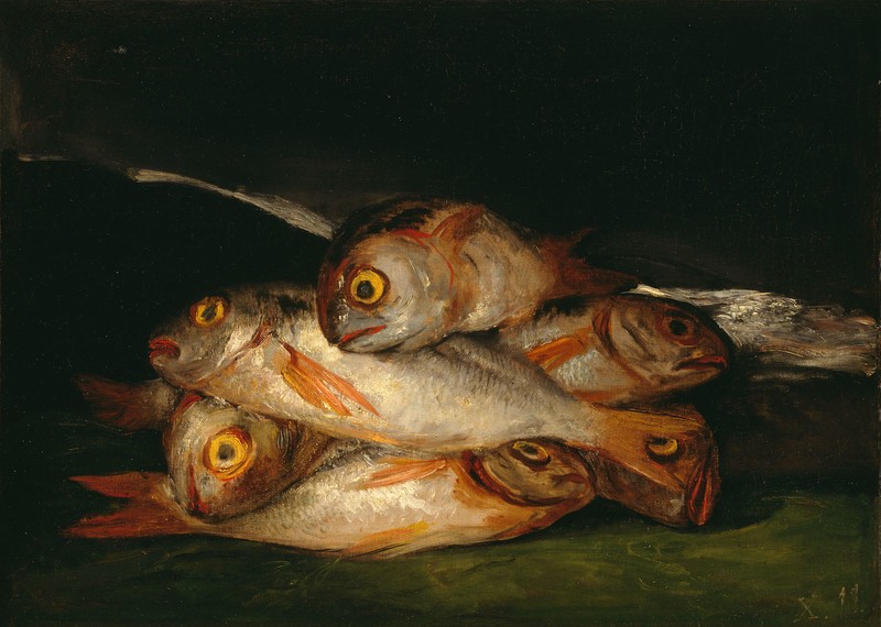 Golden Bream (Doradas)