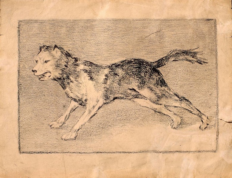 Hound (Can)