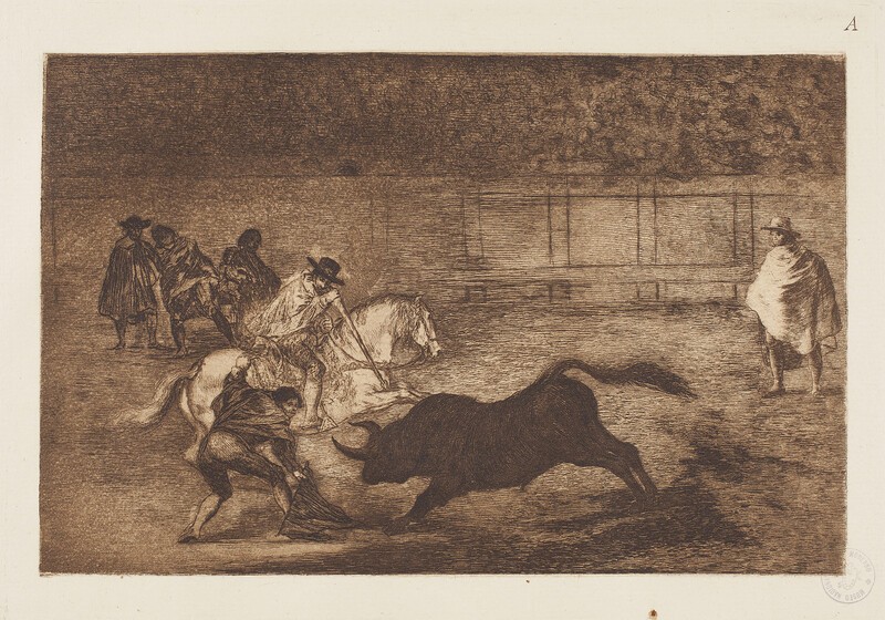A gentleman in the bullring breaking a little bull with the help of a pimp (Bullfighting A)