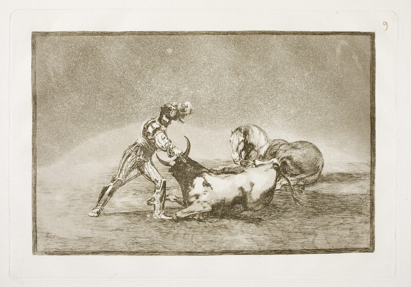 Spanish knight kills bull after losing his horse