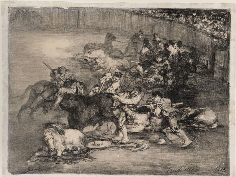 Bullfight 